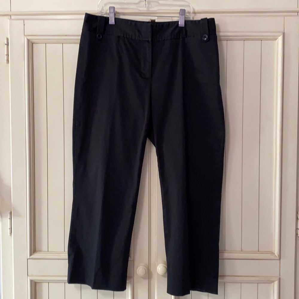 Ann Taylor Cropped Dress Pants